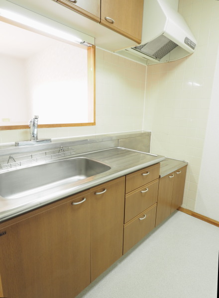apartment 川崎区台町